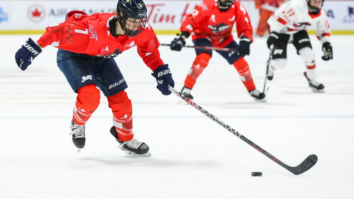 True Hockey Sales 2 True Hockey Sales -True Hockey Sales 2